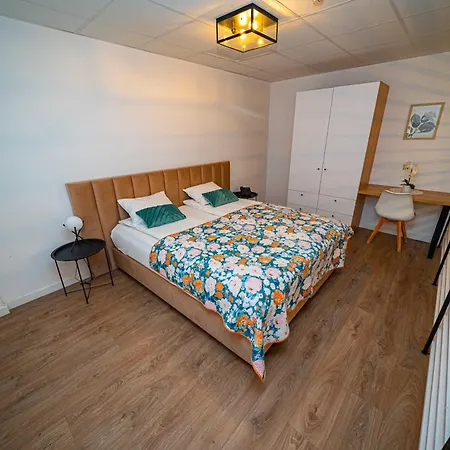 Apartman Friends Temesvár