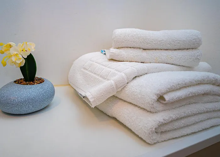 Friends * 티미쇼아라