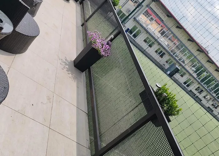 Friends 티미쇼아라