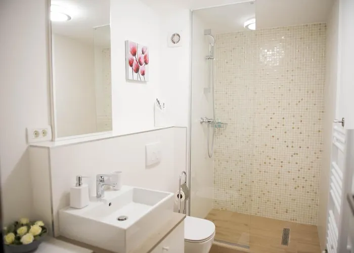 Friends 티미쇼아라