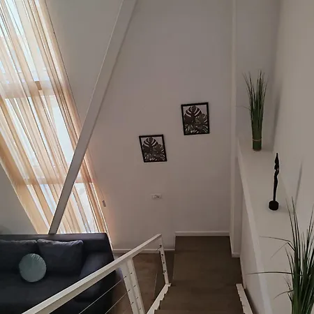 Apartament Friends